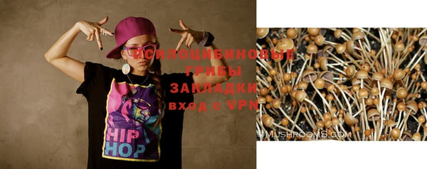 прущая мука Лиски