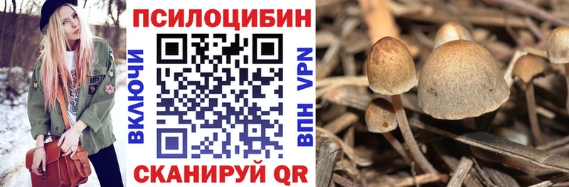 Галлюциногенные грибы GOLDEN TEACHER Новокузнецк