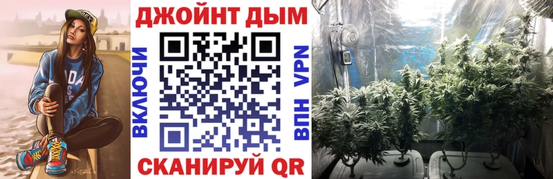 shop клад Новокузнецк Марихуана SATIVA & INDICA